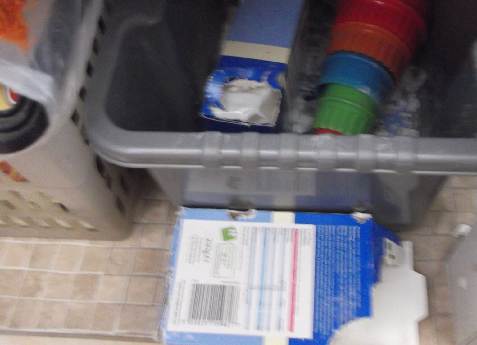 Rats Pest control Chorley